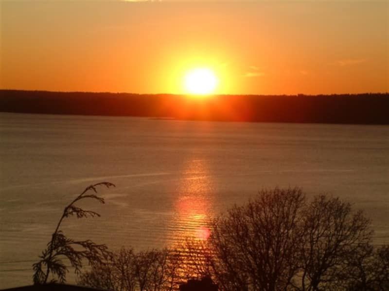A sunset over a body of water with trees in the foreground