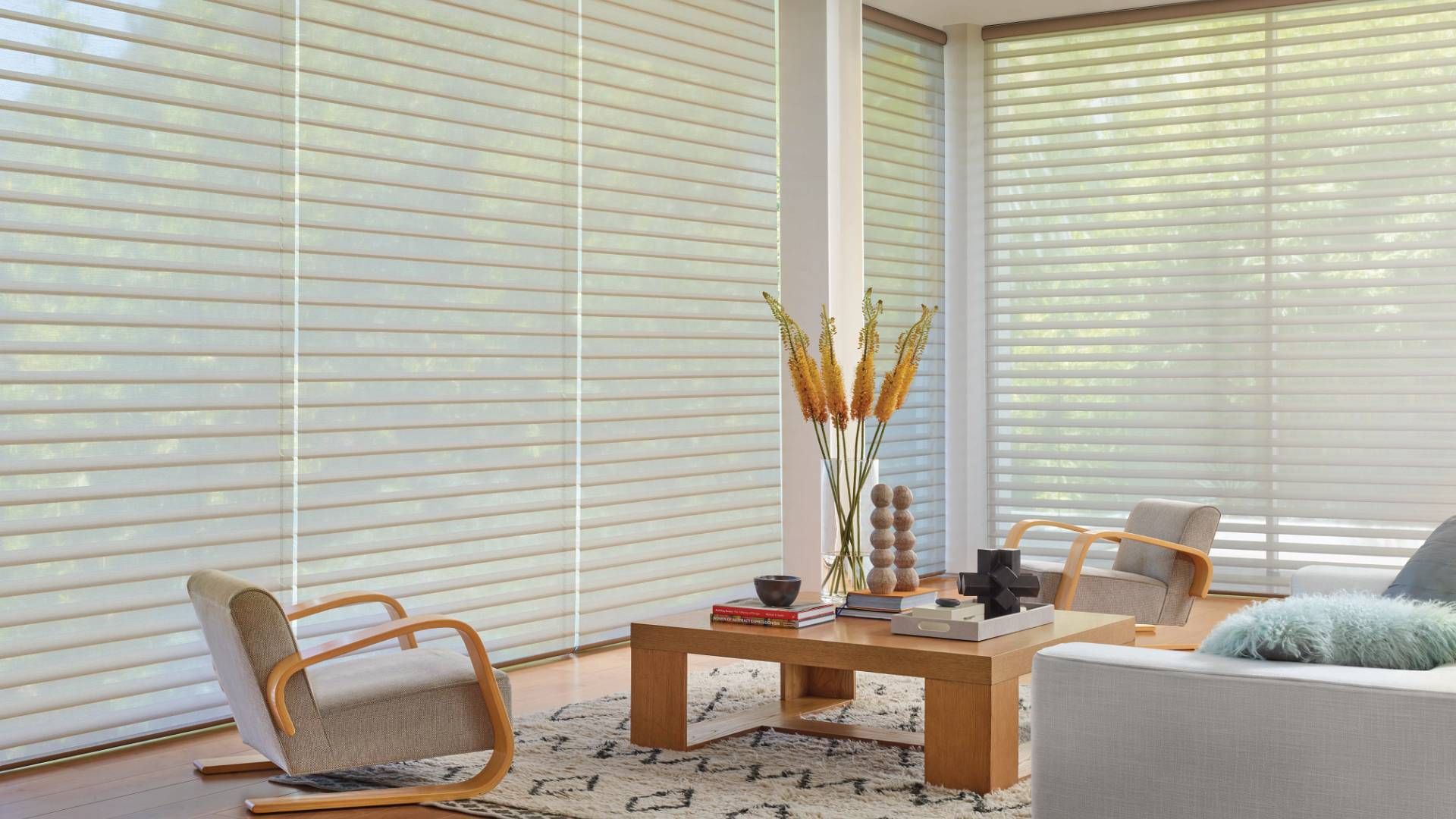 Hunter Douglas Silhouette® Sheer Shades with PowerView® Automation near Fort Lauderdale, Florida (FL