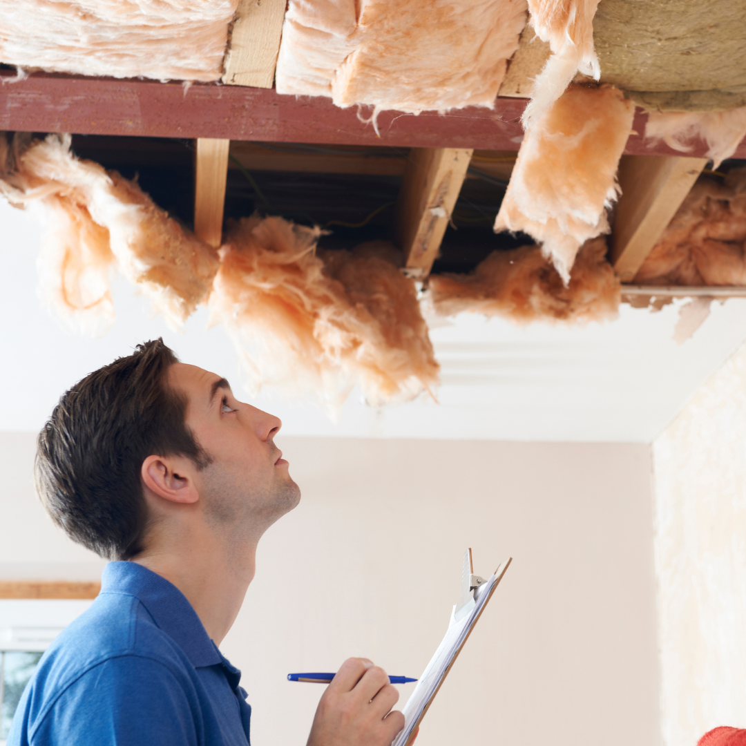 Public Adjuster Assessing Damage