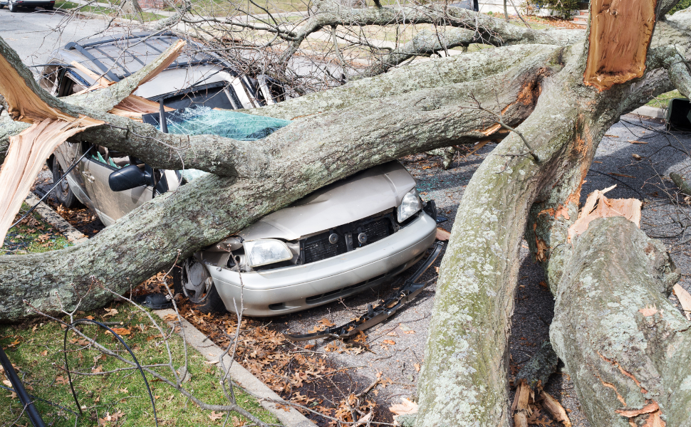 Storm Damage Claim