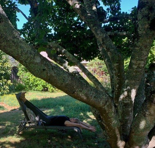 A person is laying under a tree in a park