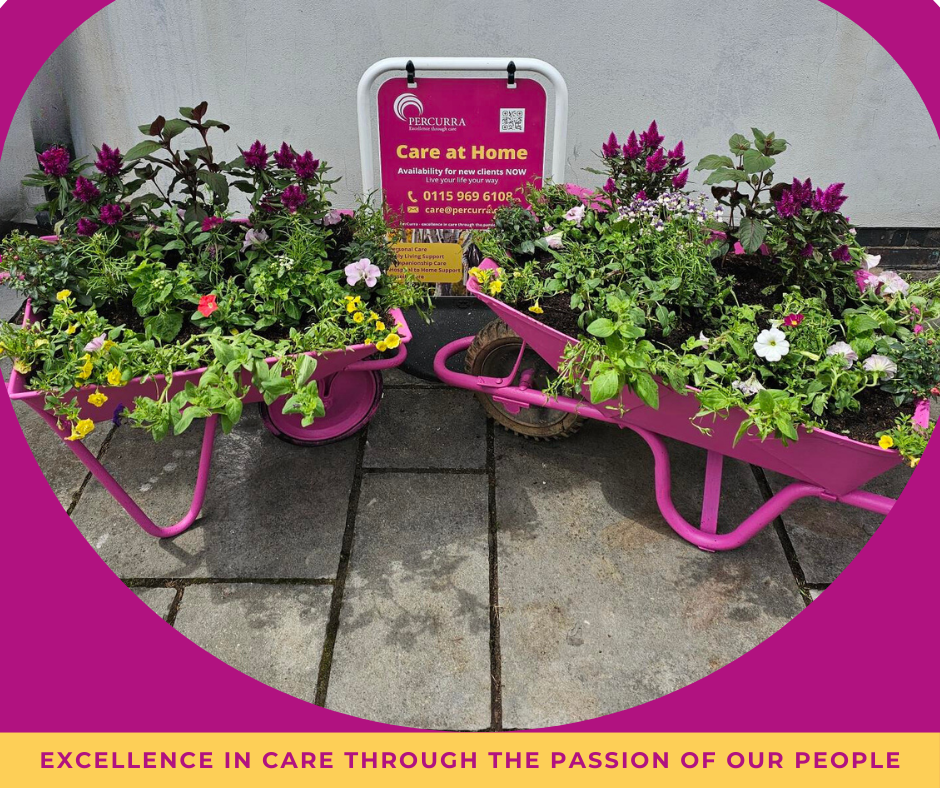 Two pink wheelbarrows filled with flowers and a sign that says care at home