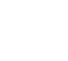 Willow Pond Healing logo