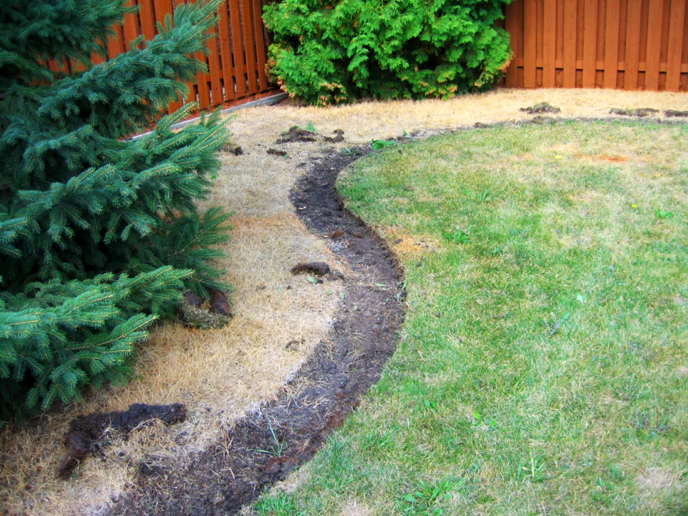 MrCurber The Curb Guy Ground Preparation Arkansas Landscaping