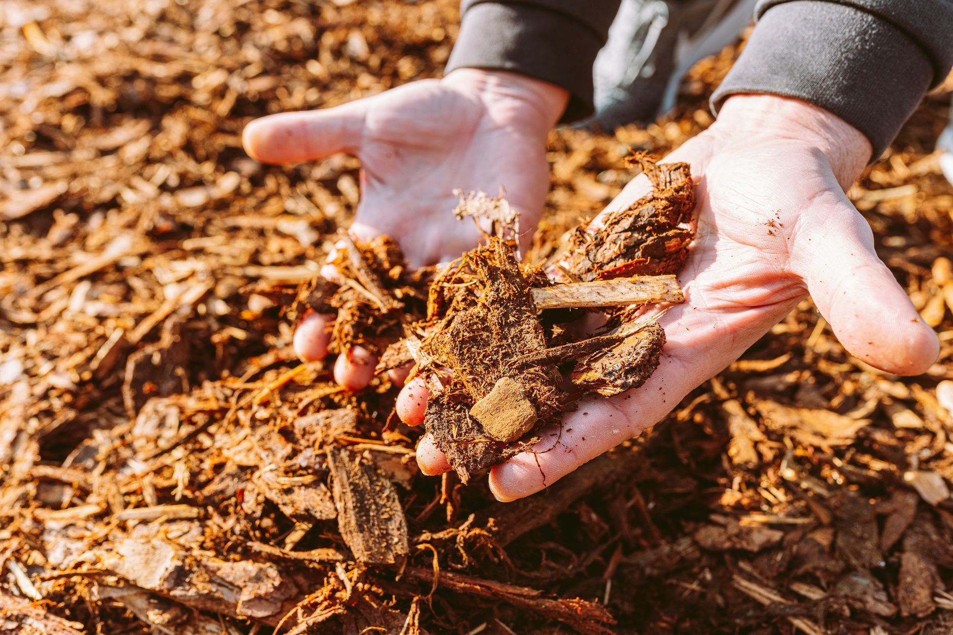 Mulching Gardening landscaping The Curb Guy A person is holding a pile of wood chips in their hands. 