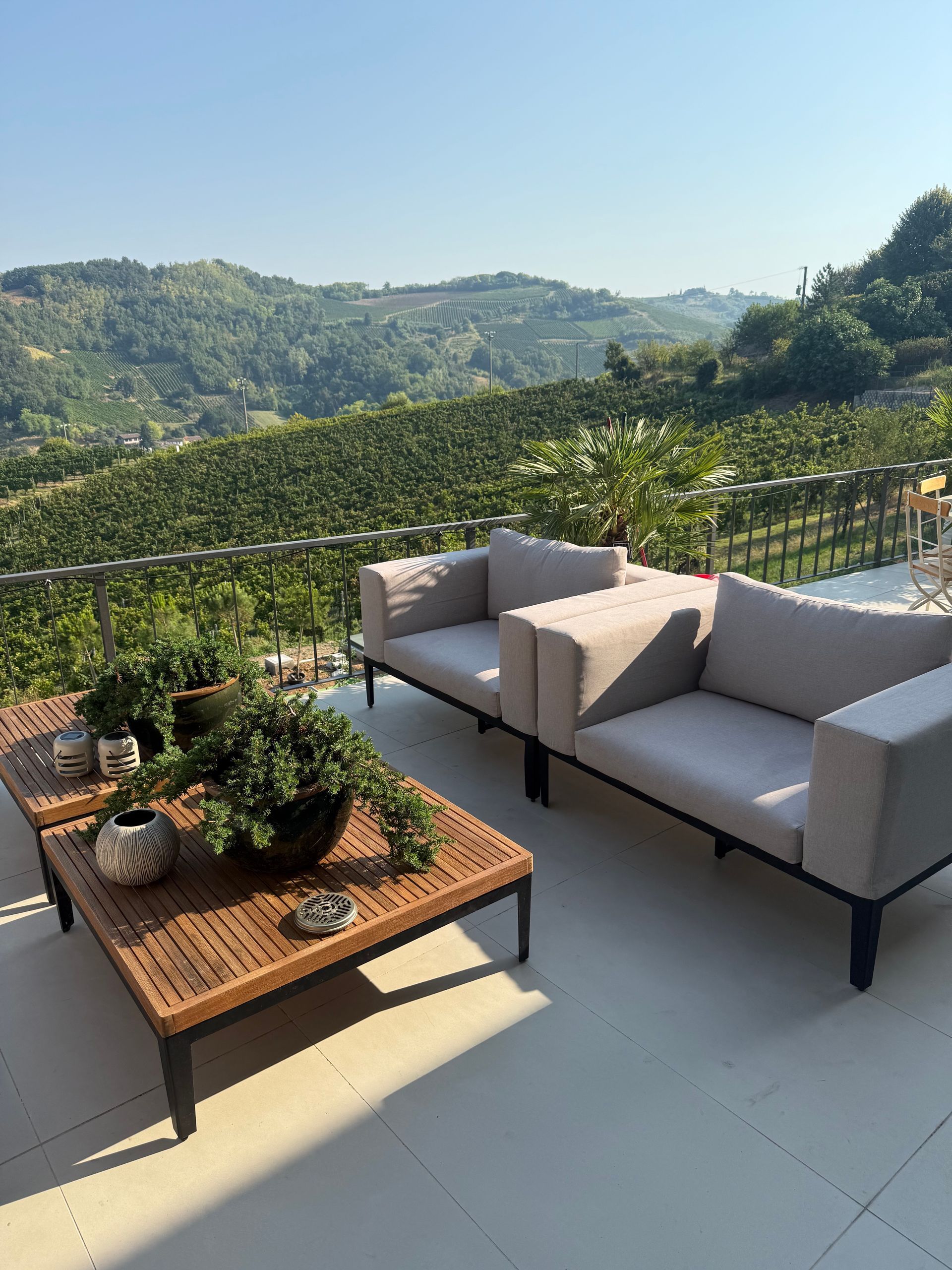 Patio furniture overlooking a vineyard. Two gray couches and a wooden coffee table with plants. Sunny day.