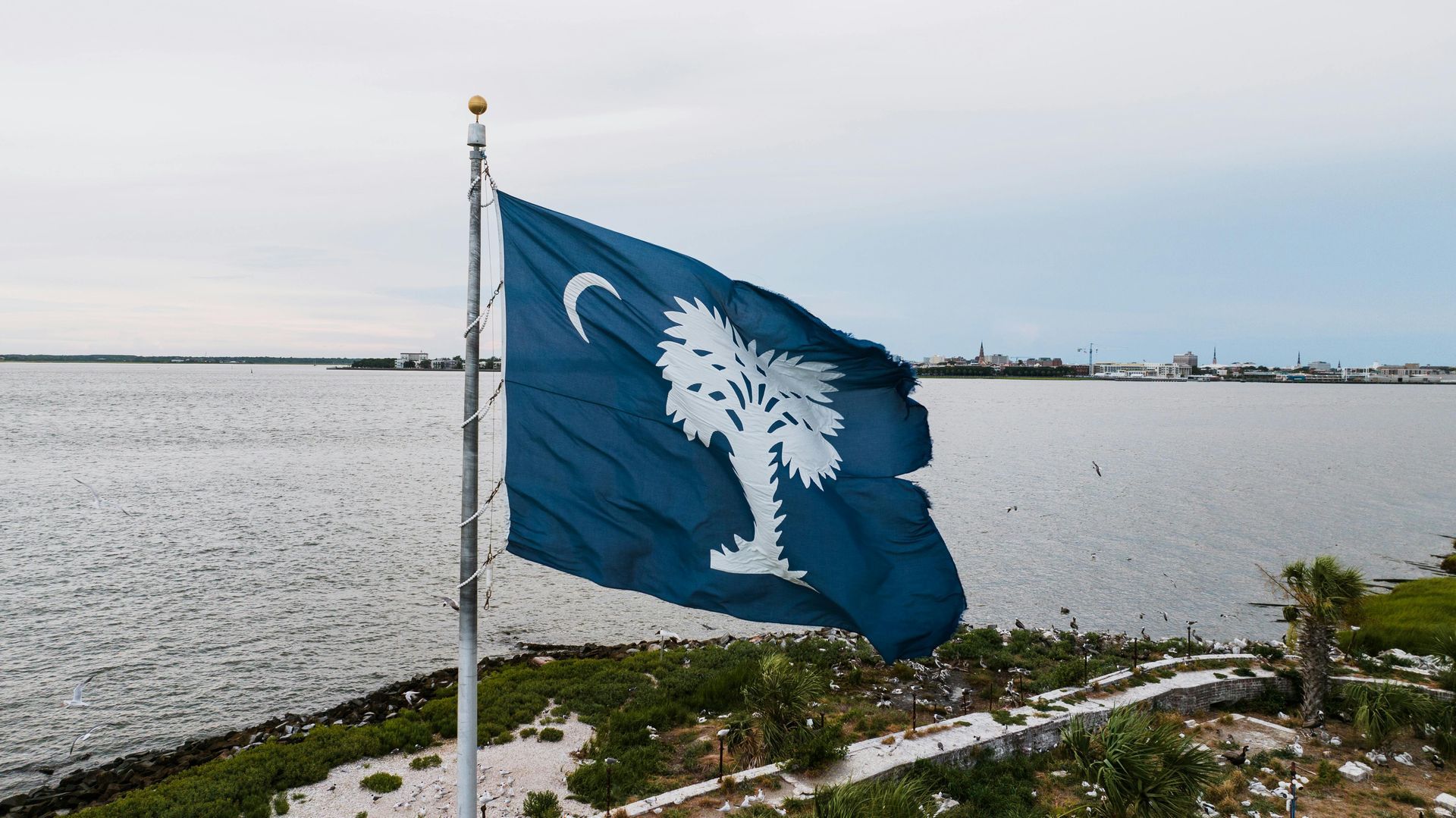 A blue flag with a palm tree on it is flying over a body of water