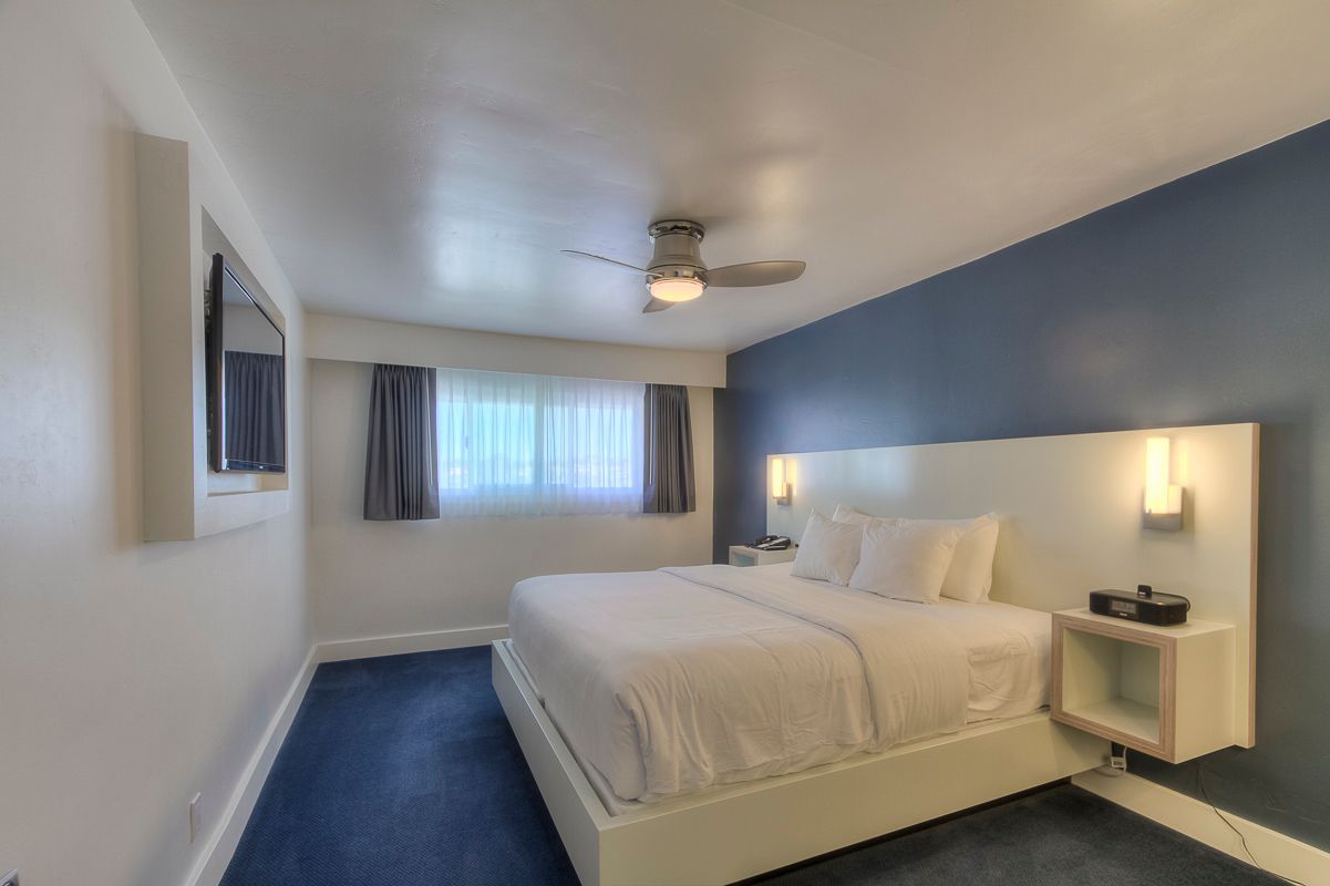 Hotel bedroom with a king bed, blue accent wall, and window with curtains.