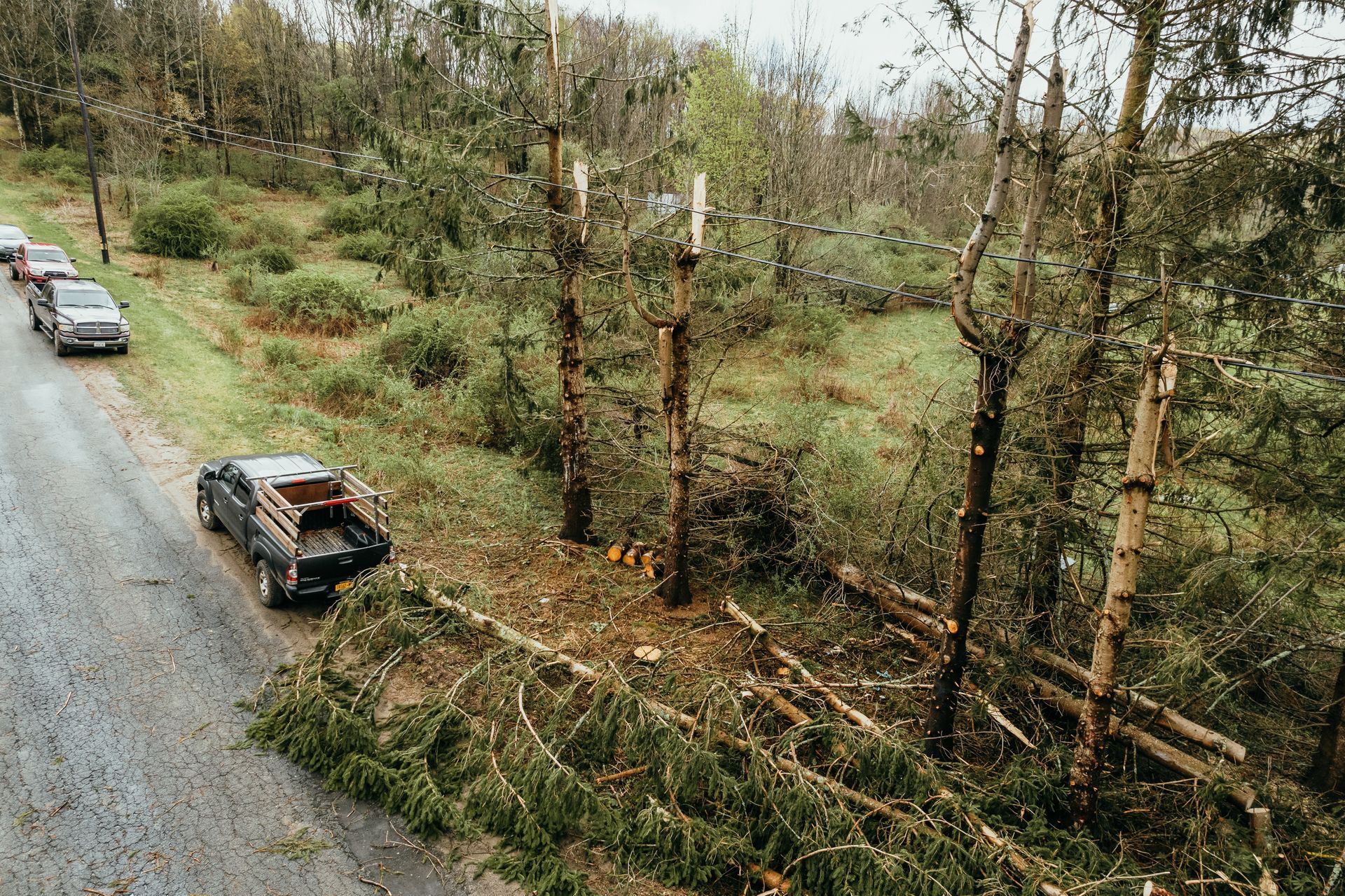 a truck is parked on the side of the road next to a fallen tree .