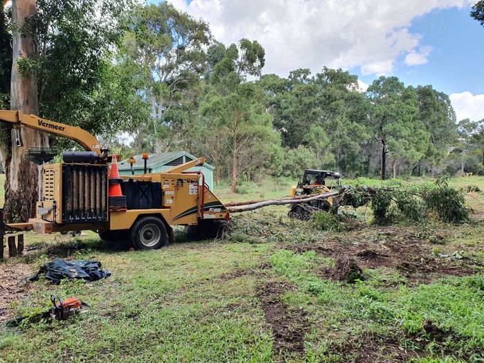 same day tree removal brisbane