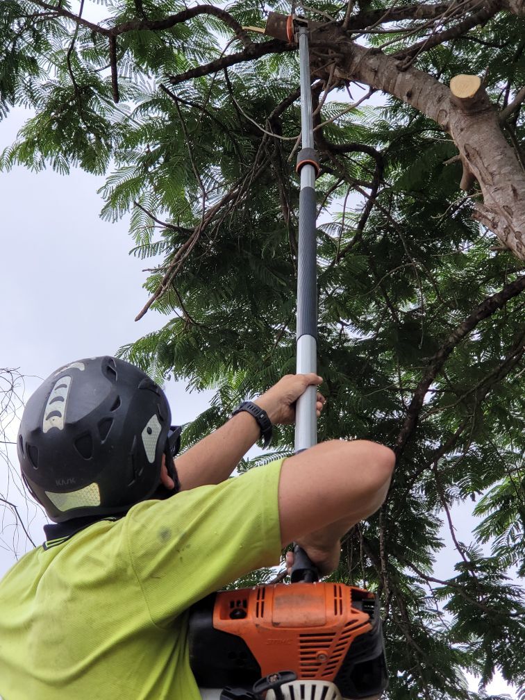 tree lopping services richland