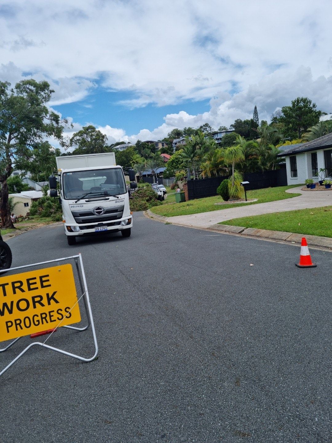 arborist brisbane