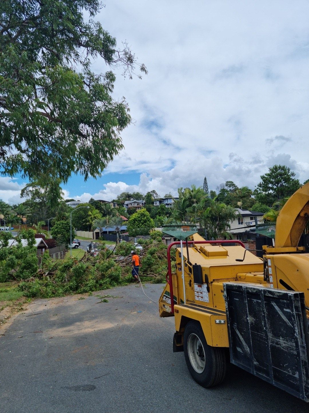 same day tree service brisbane
