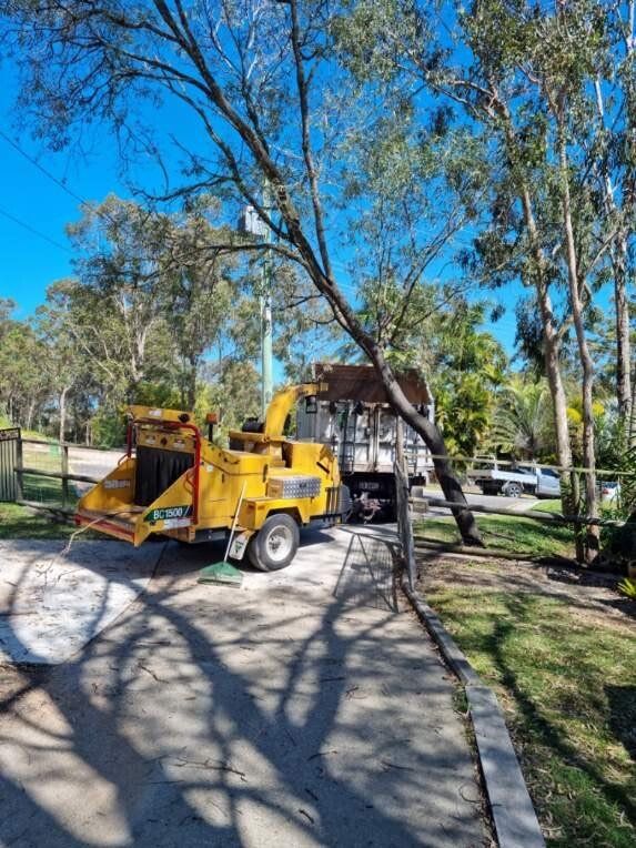 emergency tree removal brisbane