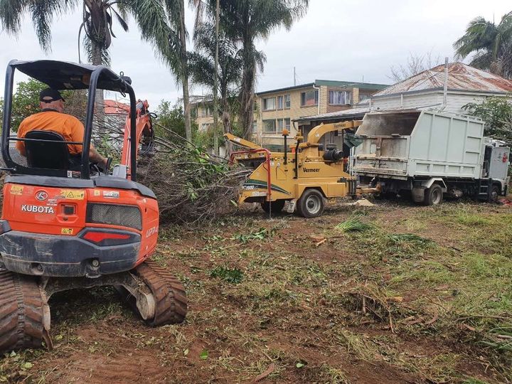 Tree & palms removal services in brisbane