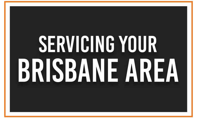 Same Day Trees and Palms