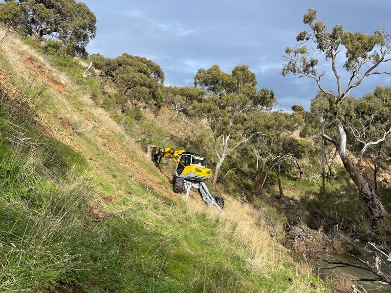 Vegetation management