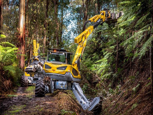 A yellow and black excavator is cutting trees in a forest.