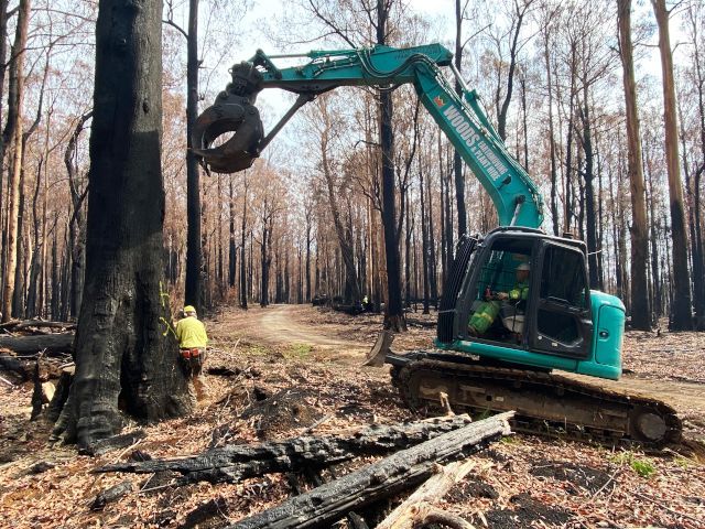 Natural disaster recovery