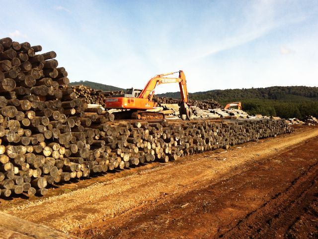 Timber resource management