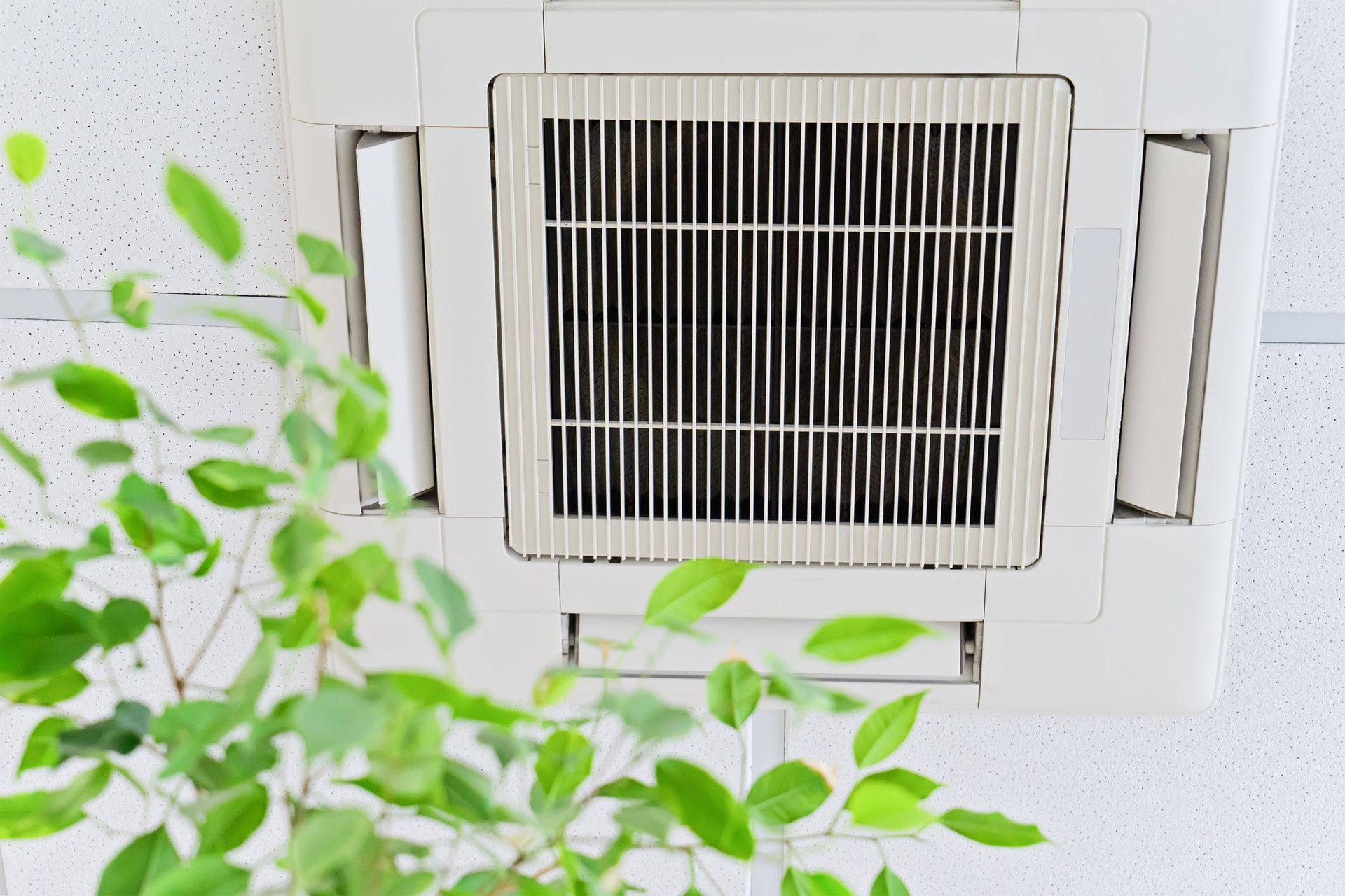 A close up of a ceiling mounted air conditioner with a plant in the foreground.