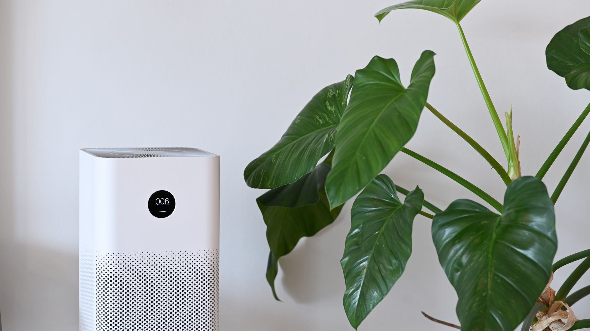 A white air purifier is sitting next to a green plant.