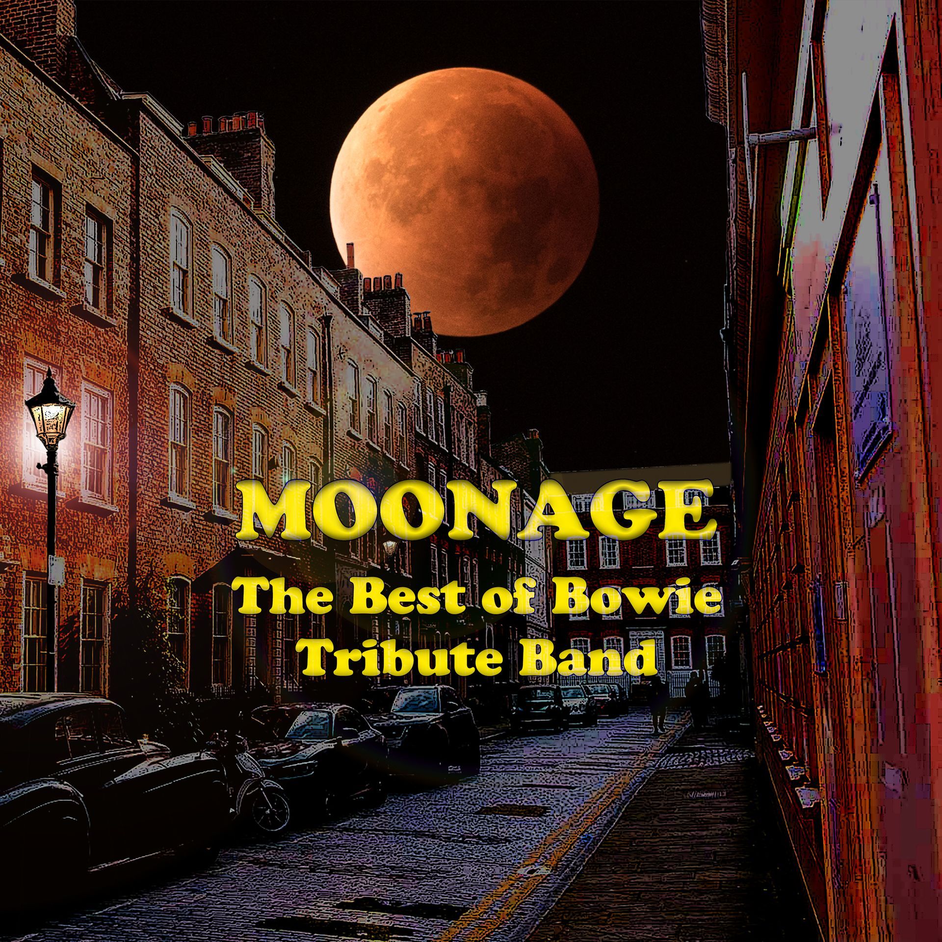Moonage, The Best Of Bowie Tribute Band