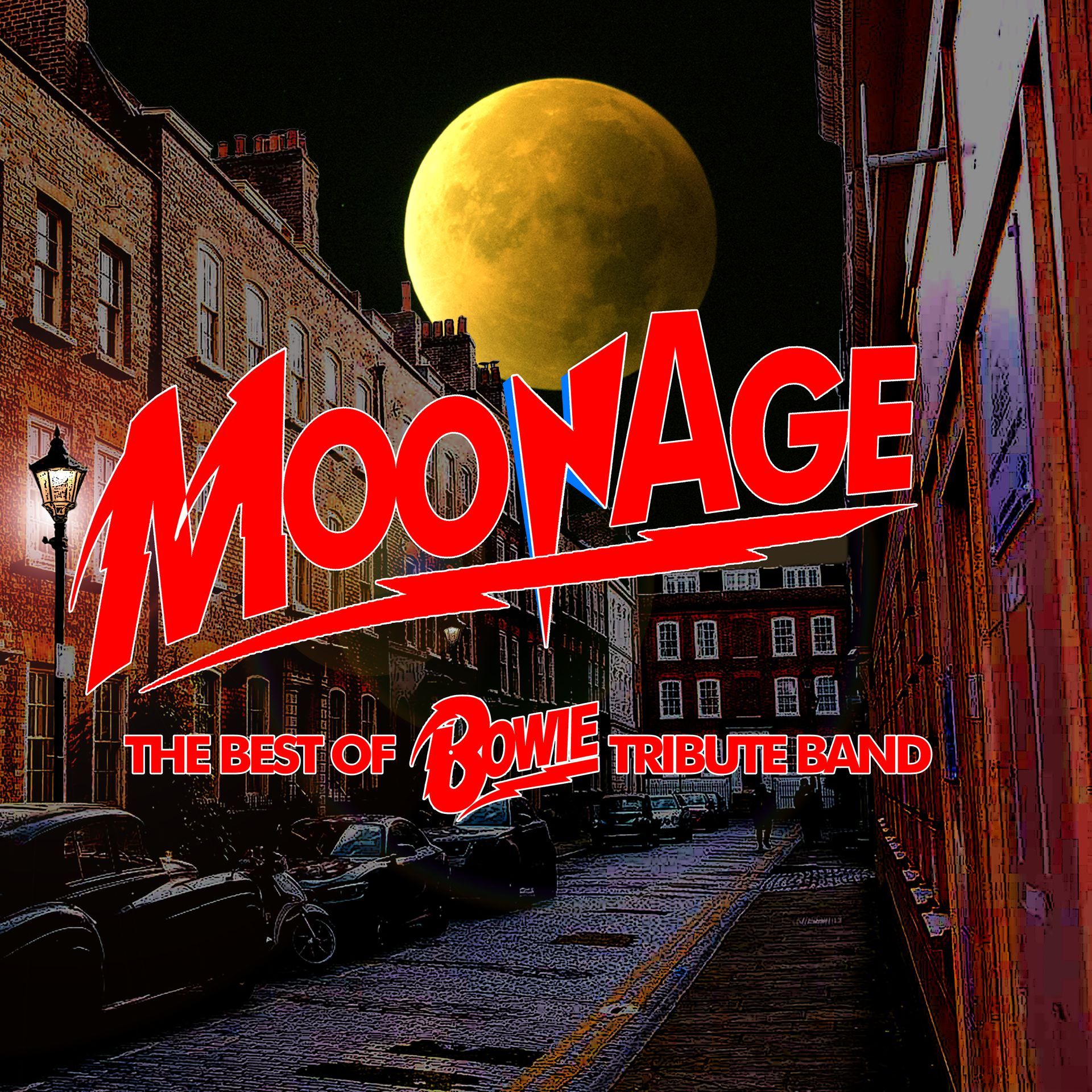 Moonage, The Best Of Bowie Tribute Band