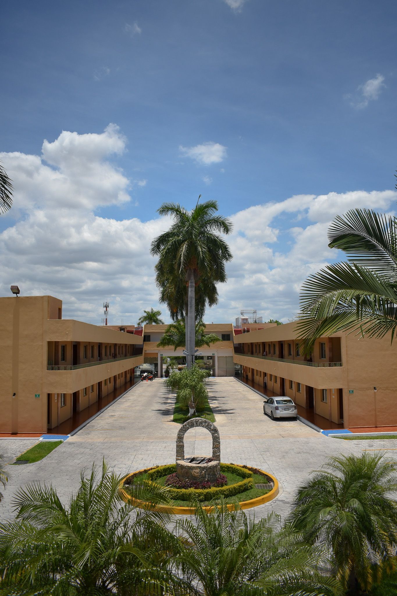 Una hilera de habitaciojnesn con una palmera en el medio.