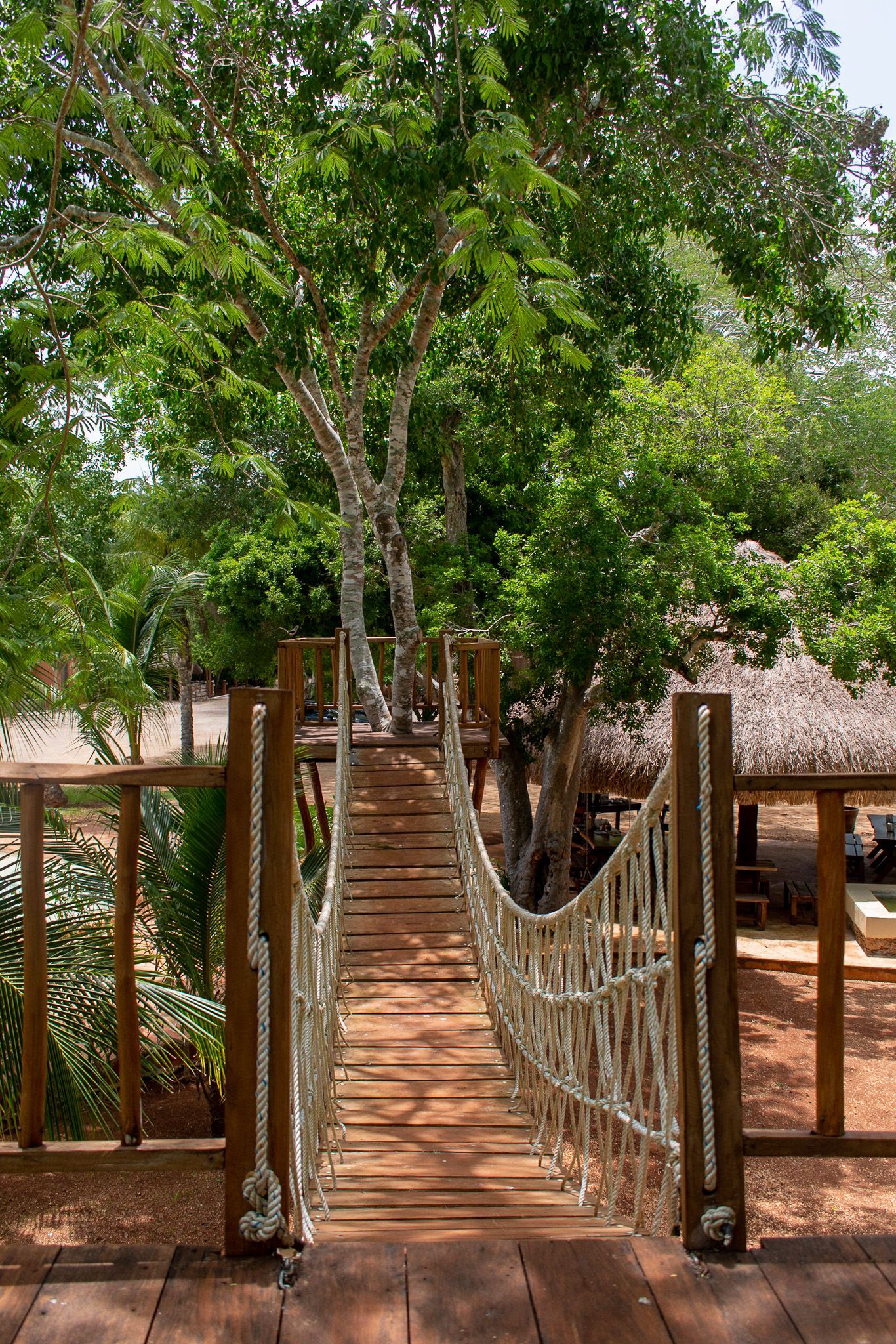 Un puente de cuerda de madera entre dos árboles en un parque.