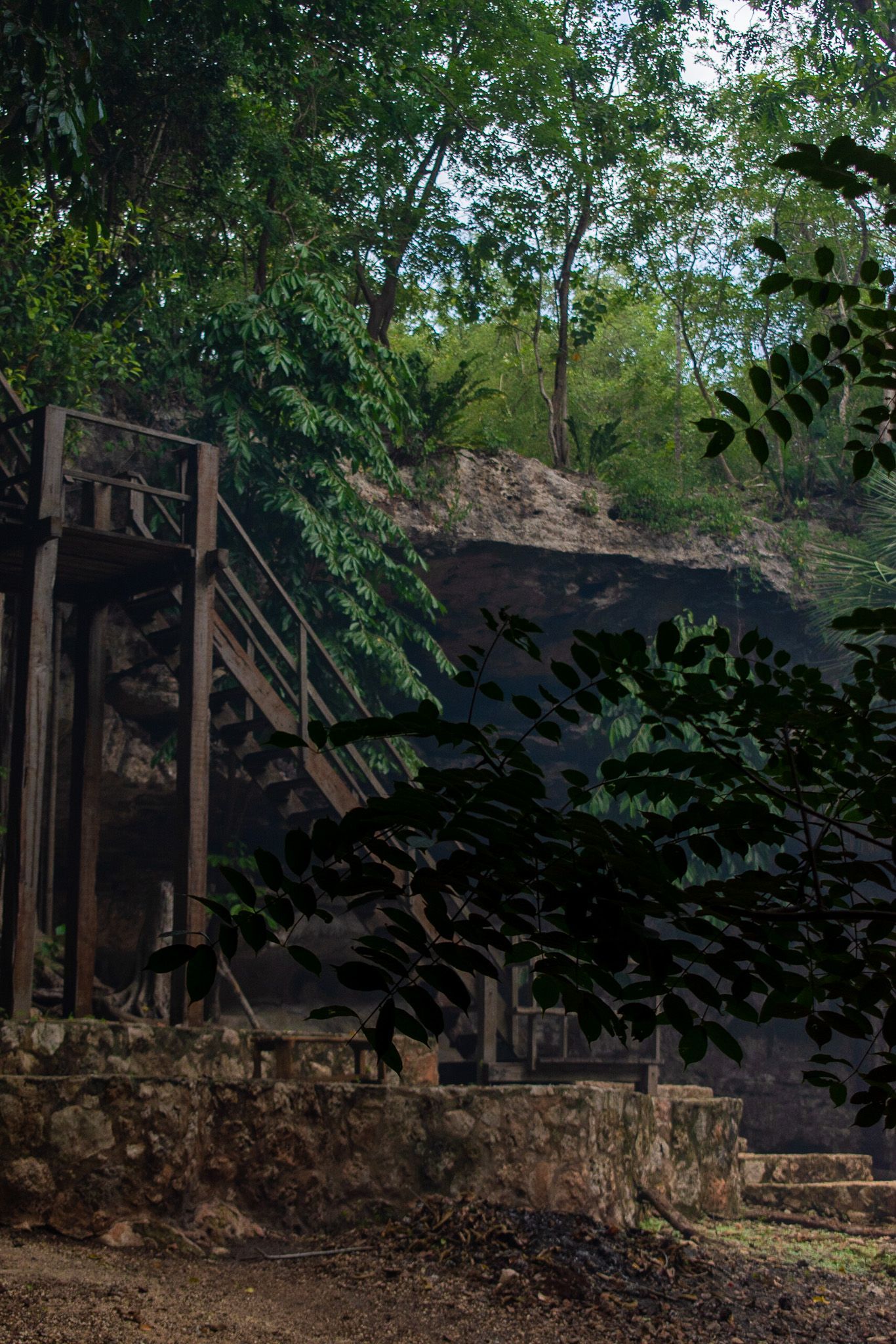 Una escalera de madera en medio de un cenote rodeado de árboles.
