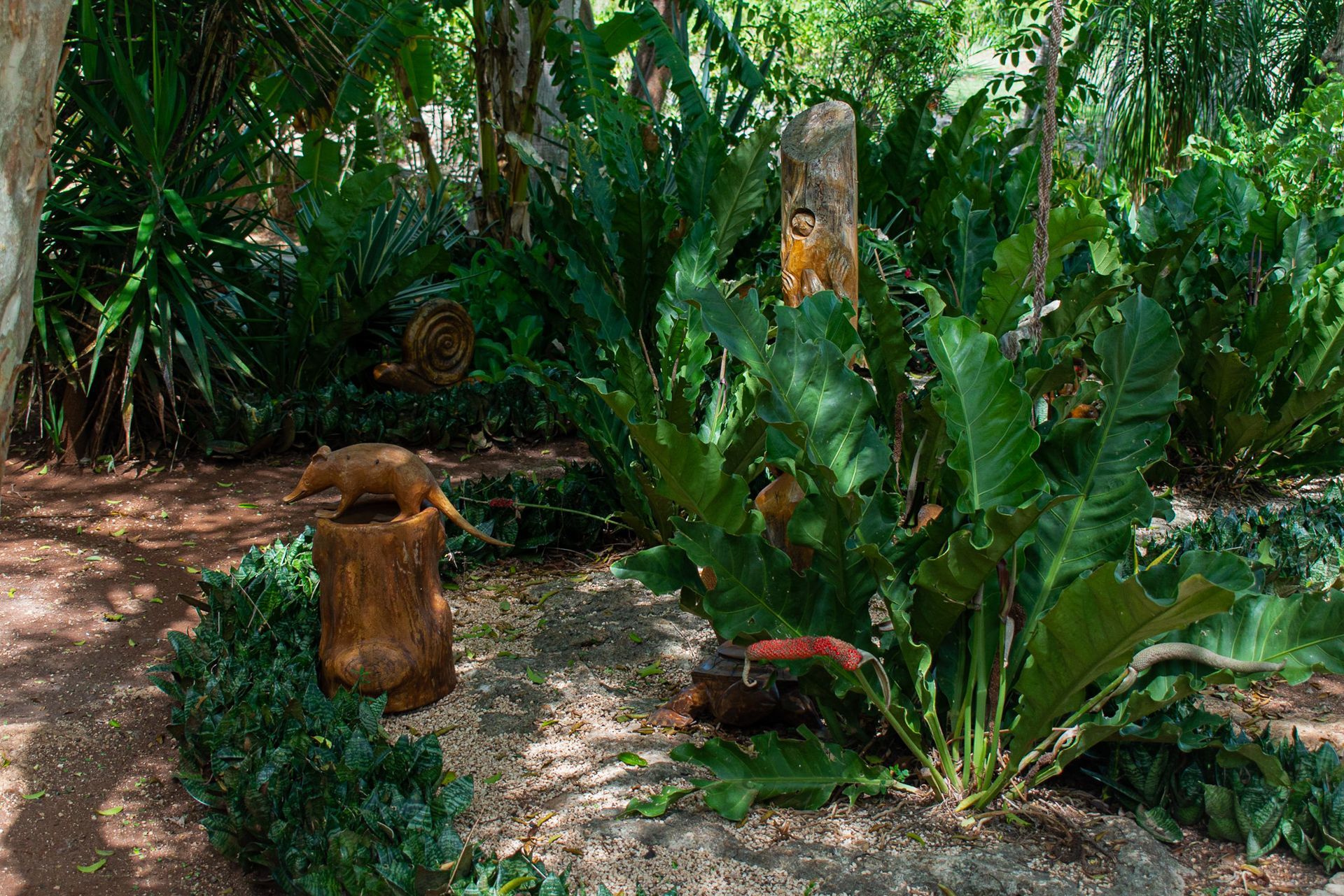 Un mono está sentado en el tocón de un árbol en medio de un exuberante bosque verde.