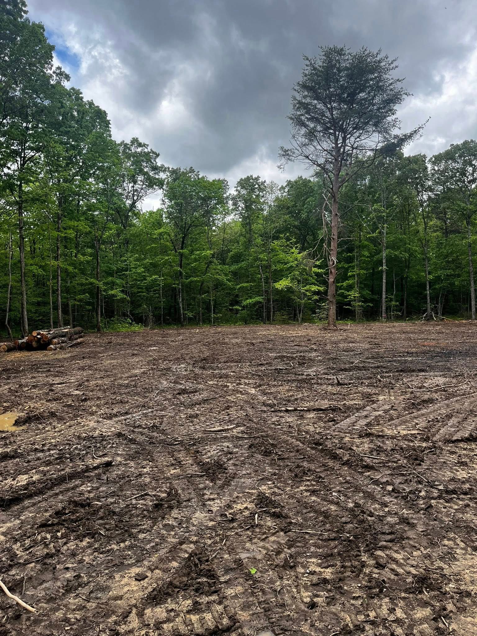 Cleared muddy field with dark trees under a cloudy sky.