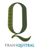 Transquitral