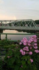 Bridge and Flowers - Representation in Shelburne Falls, MA