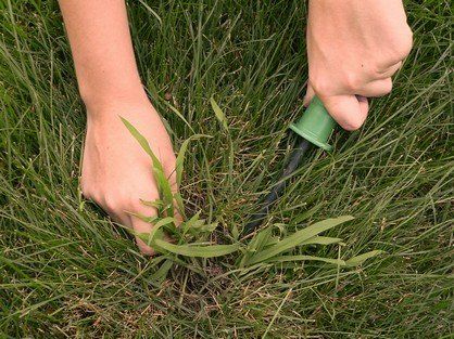Garden Soil — Hand Removing Weeds in Louisville, KY