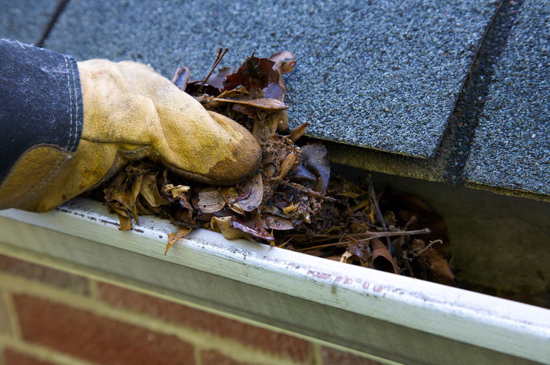 Decks — Cleaning Gutter in Louisville, KY