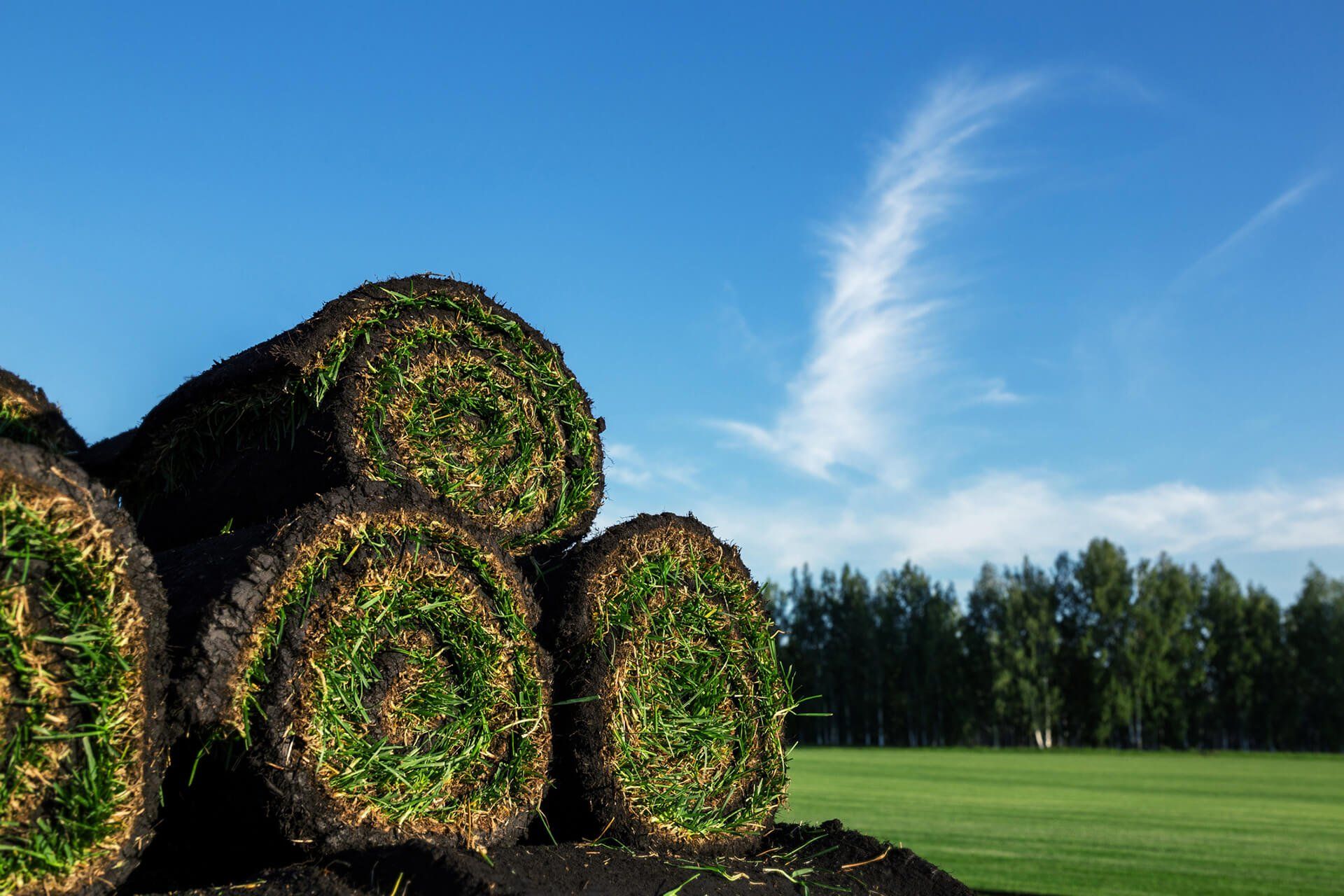 Turf — Stacks of Turfs in Louisville, KY