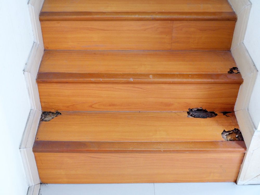 A Close Up of a Wooden Staircase With a Few Holes in It — Core Pest Management in Coolum Beach, QLD