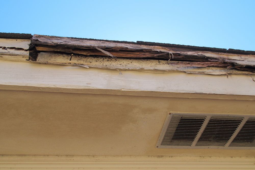 A Roof With a Hole in It and a Vent on It — Core Pest Management in Coolum Beach, QLD