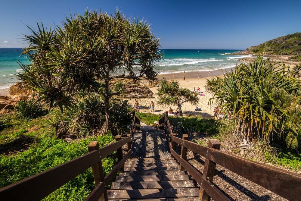 A Wooden Staircase Leading to a Beach With People Walking on It — Core Pest Management in Coolum Beach, QLD