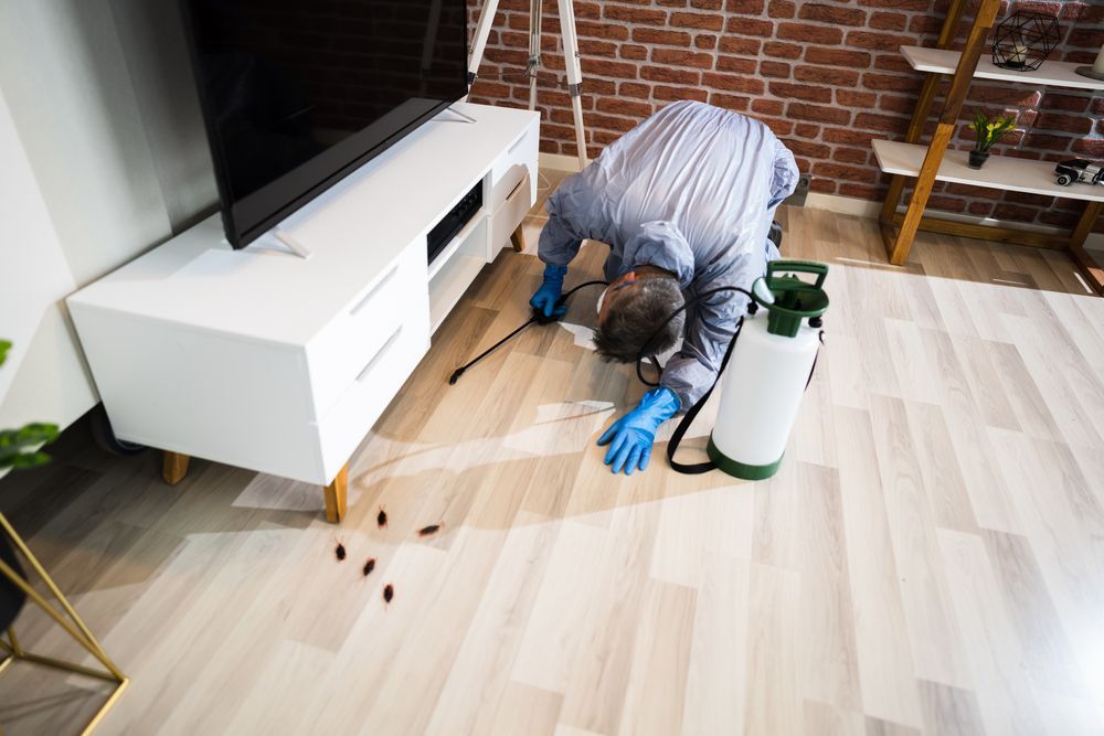 A Man is Spraying Insecticide on the Floor of a Living Room — Core Pest Management in Maroochydore, QLD