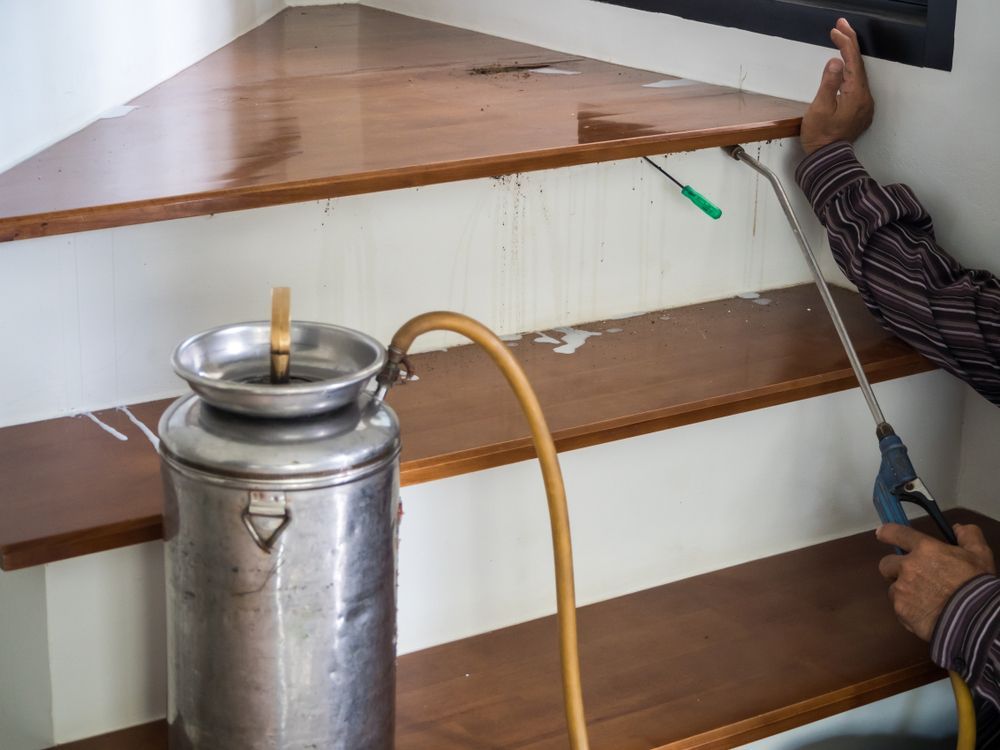 A Man is Spraying a Wooden Staircase With a Sprayer — Core Pest Management in Coolum Beach, QLD