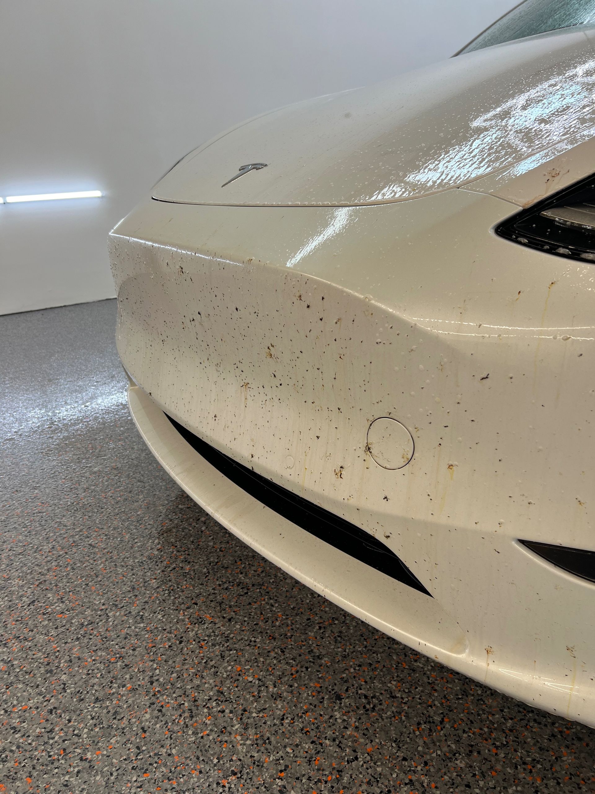 A white car is parked in a garage with a dirty bumper.