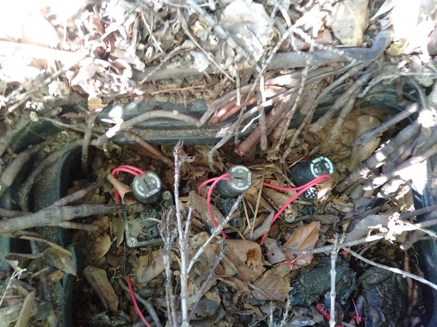 Root Infestation in Valve Pit — Irrigation Services in Townsville