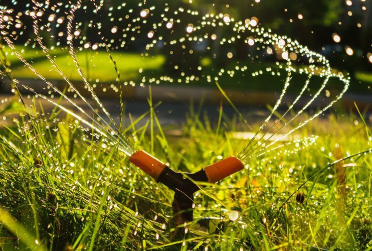 Watering the Lawn with Automatic Irrigation Sprinkler — Lawn Irrigation in Townsville