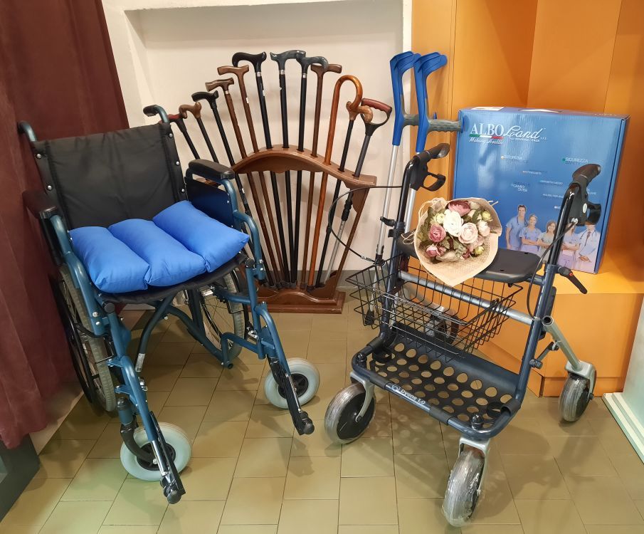 Sedie a rotelle smart