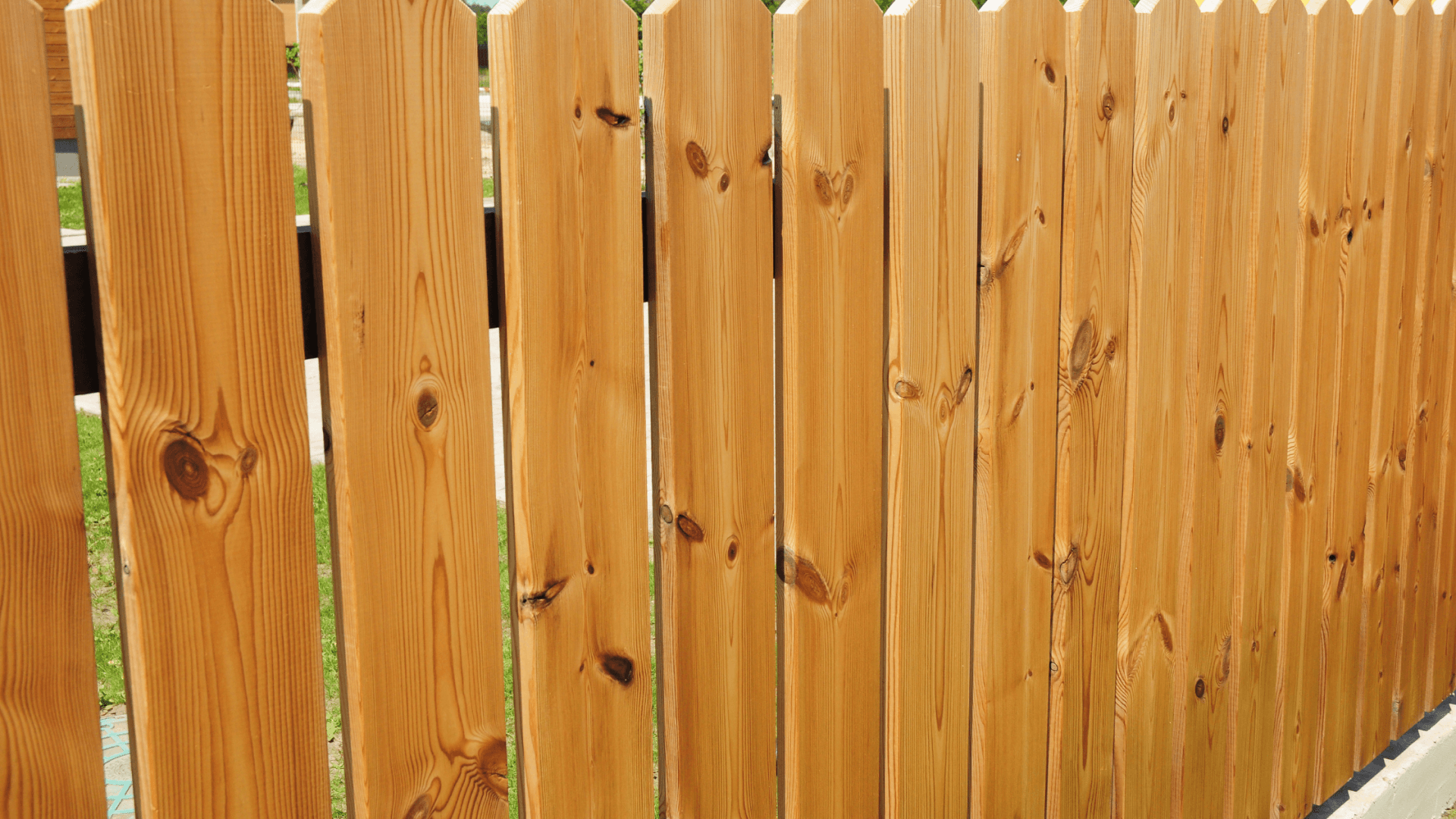 Fence Power Cleaning