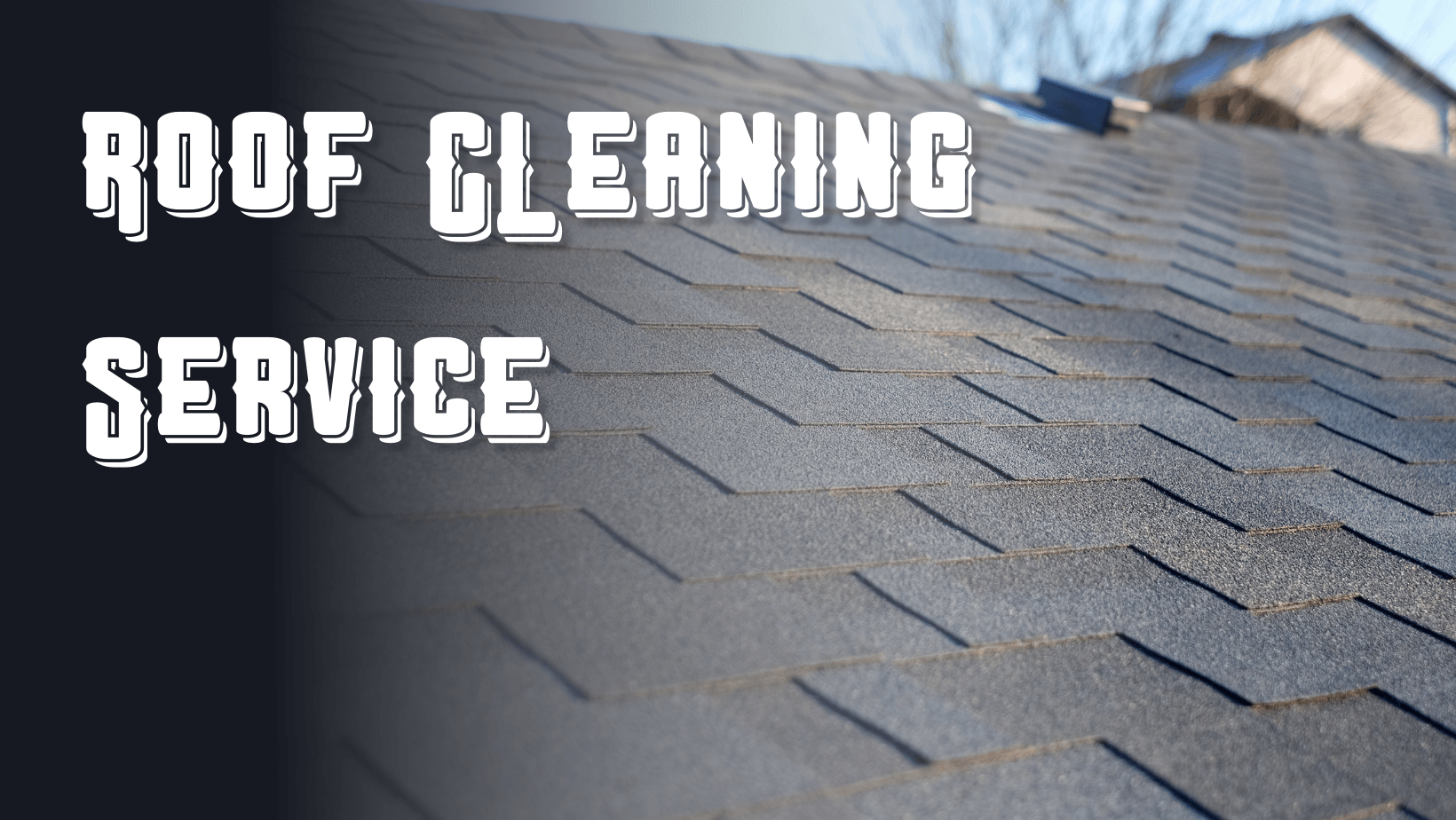 Roof cleaning service