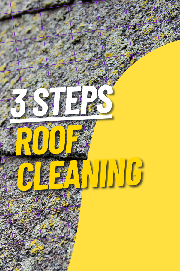 Shingle Roof Cleaning